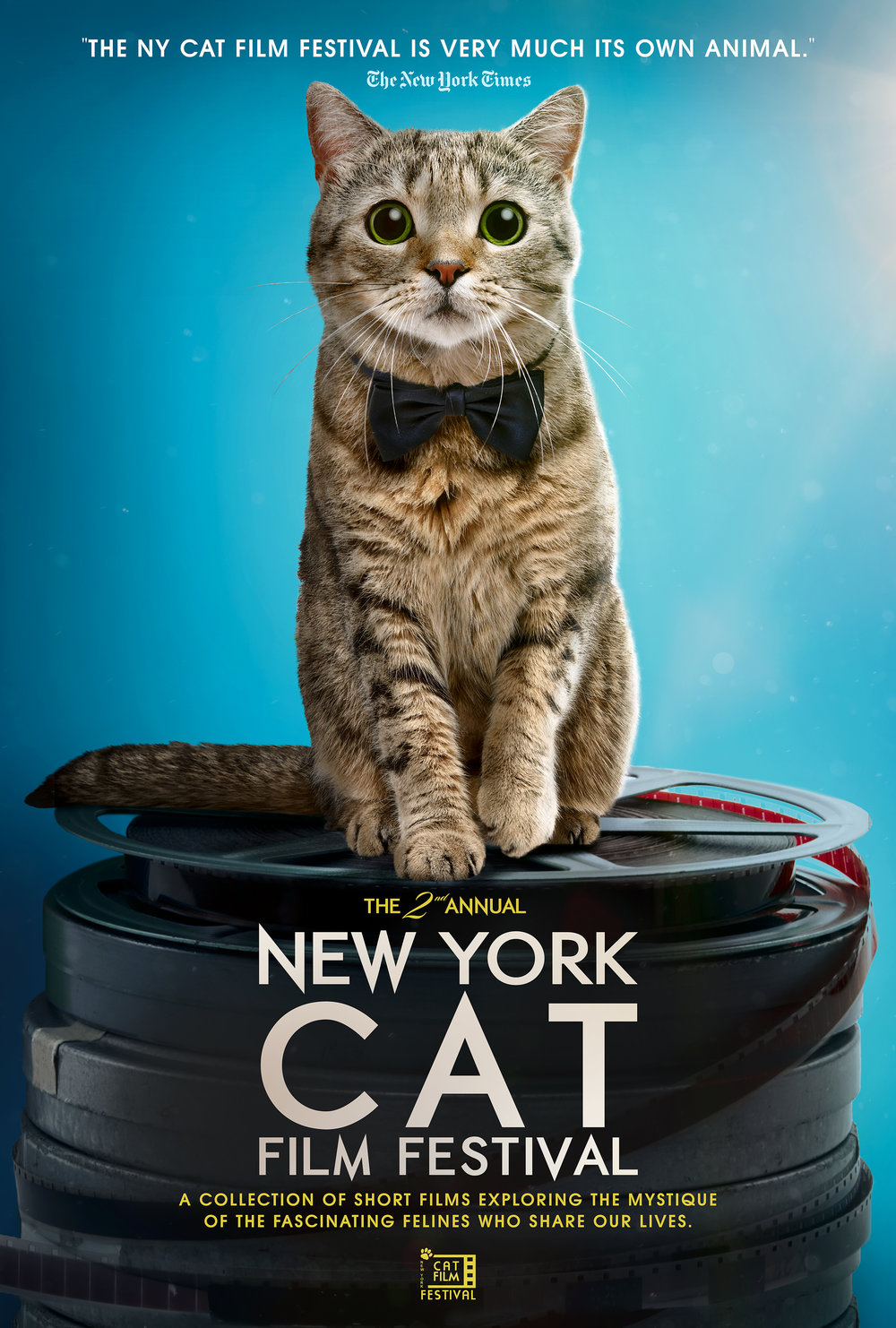Showtime for New York Cat Film Festival playing Aug 8th, 2019 at 700